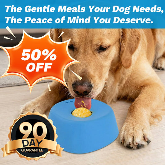 Slow-Feed Dog Bowl Anti-Splash Water & Food Bowl